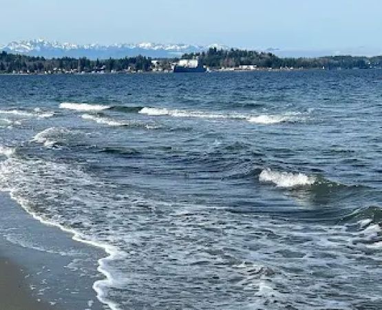 Cascade Marine Trail Campsites