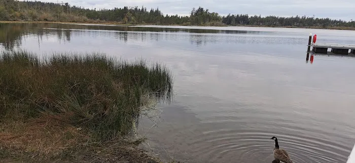 Manchester State Park Group Campground 0