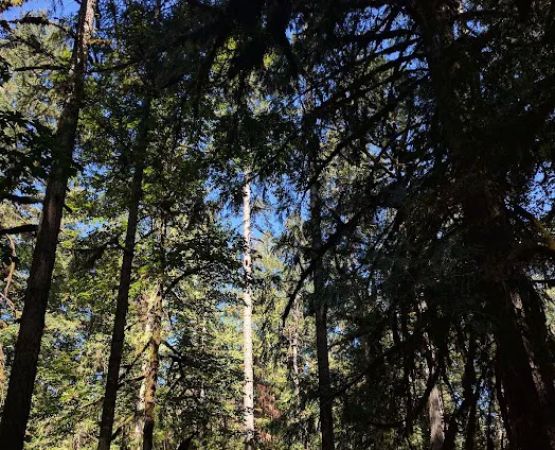 Fishermen's Bend Recreation Site