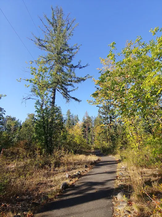 Fishermen's Bend Recreation Site 4