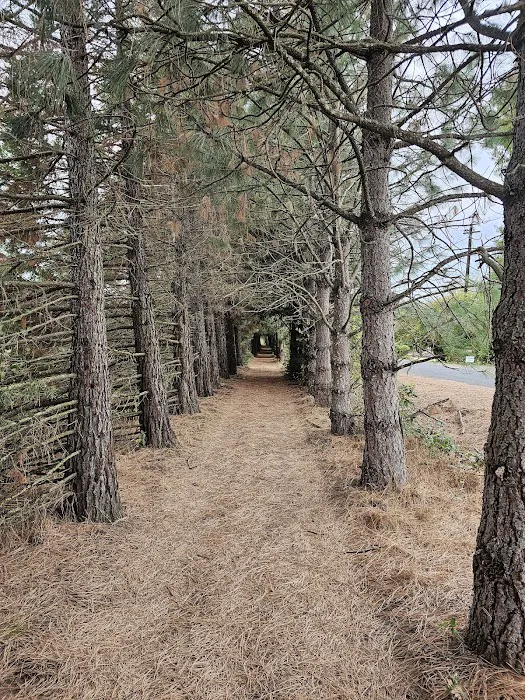 End of the Road Adventures 8