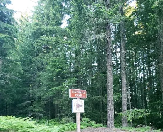 Sevenmile Horse Camp