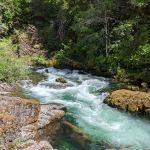 OLD MINERS MEADOW GROUP USE