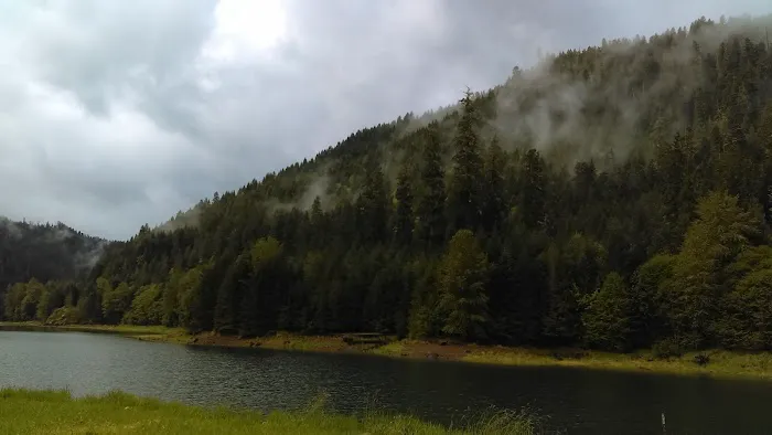 Lookout Boat Launch And Campground 1