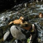 Lookout Boat Launch And Campground