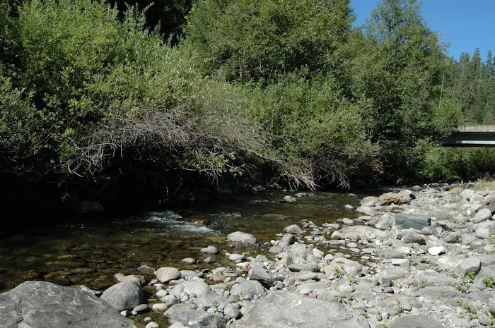 Lookout Boat Launch And Campground 8