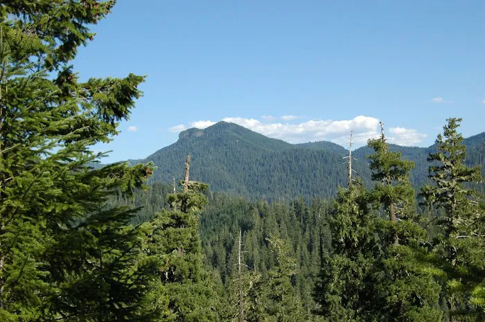 Lookout Boat Launch And Campground 5