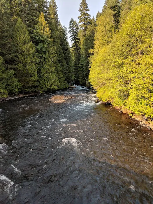 Ice Cap Creek Day Use Area 3