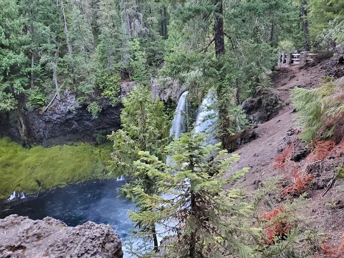 Ice Cap Creek Day Use Area 1