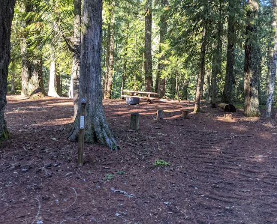 Ice Cap Creek Day Use Area