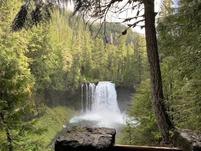 Ice Cap Creek Day Use Area 5