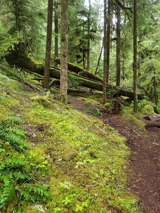 Ice Cap Creek Day Use Area 8