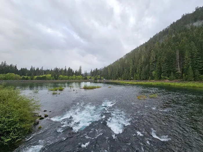 Ice Cap Creek Day Use Area 7