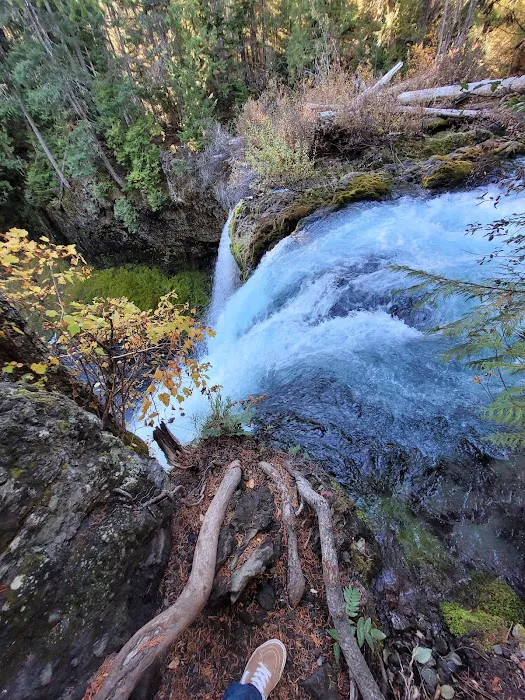 Ice Cap Creek Day Use Area 6