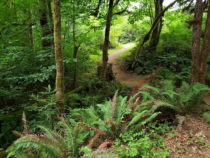 Camp Kilowan 6