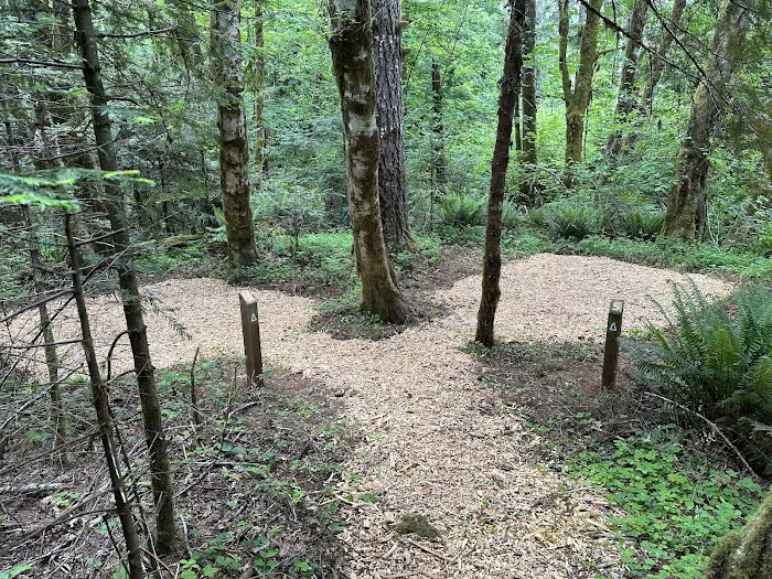 Camp Kilowan 7