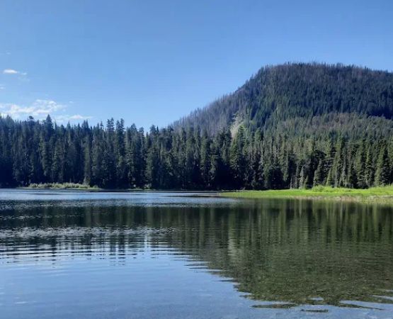Elk Lake Campground