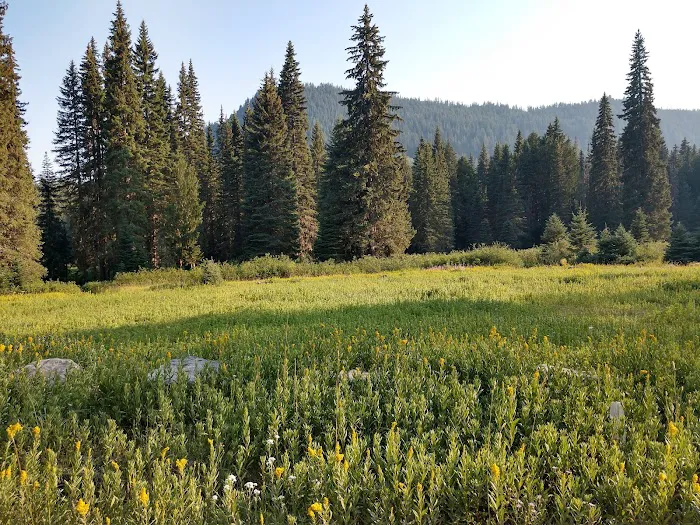 Elk Lake Campground 8