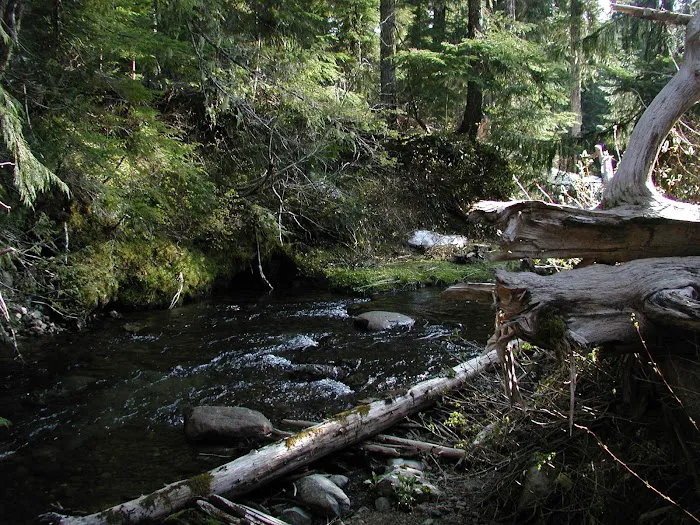 Elk Lake Campground 9