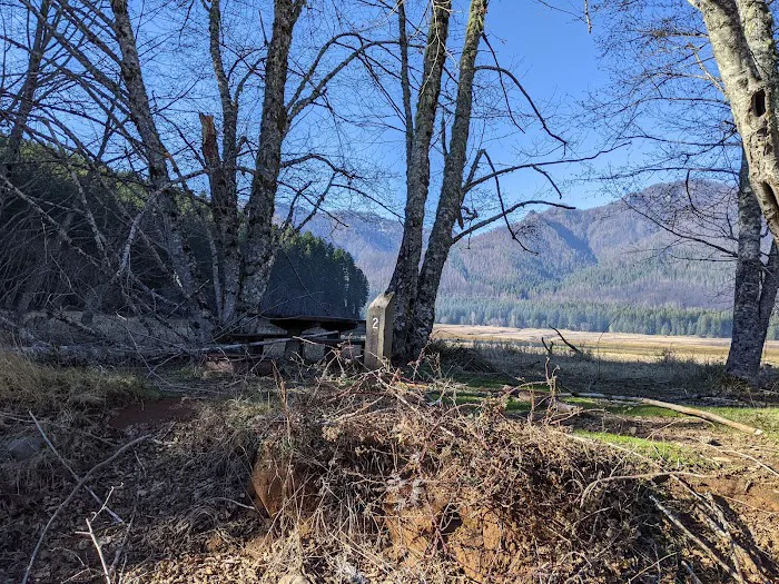 Piety Island Campground 4