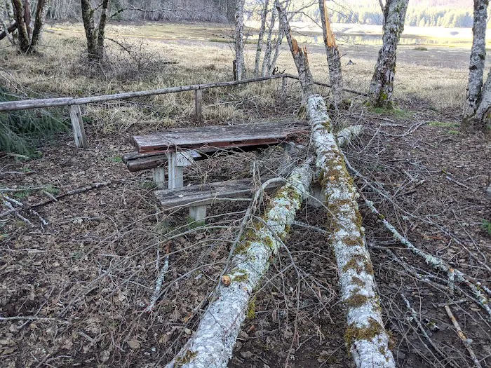 Piety Island Campground 5
