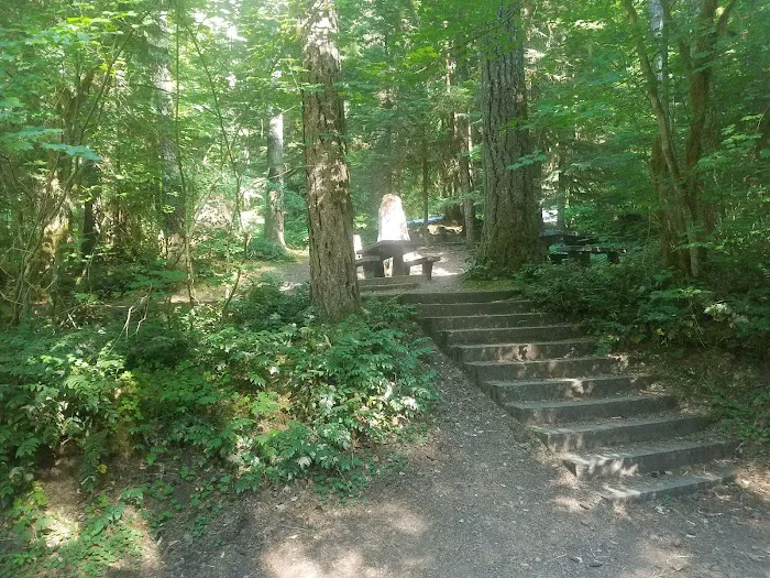 Cove Creek Campground 4