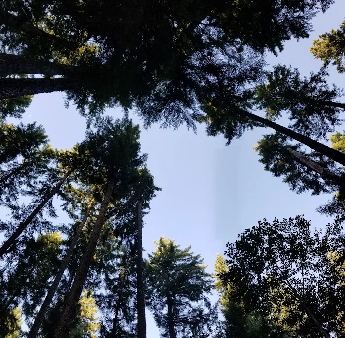 Cove Creek Campground 3