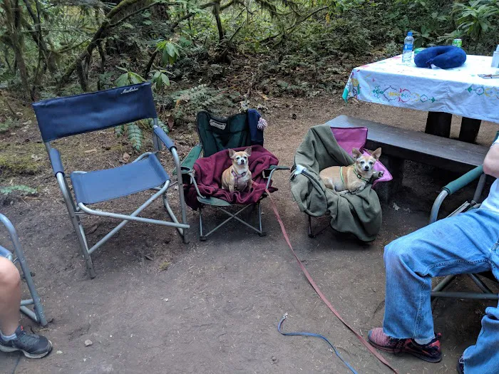Humbug Campground 3