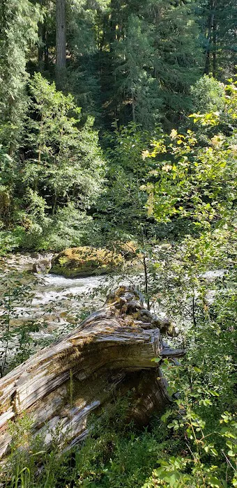 Humbug Campground 6