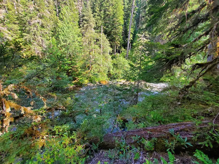Humbug Campground 9