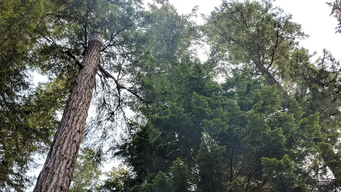 Humbug Campground 7