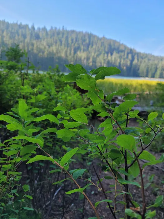 Upper Twin Lake Campground 1