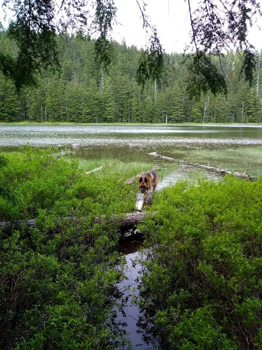 Upper Twin Lake Campground 0