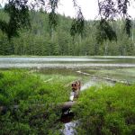 Upper Twin Lake Campground