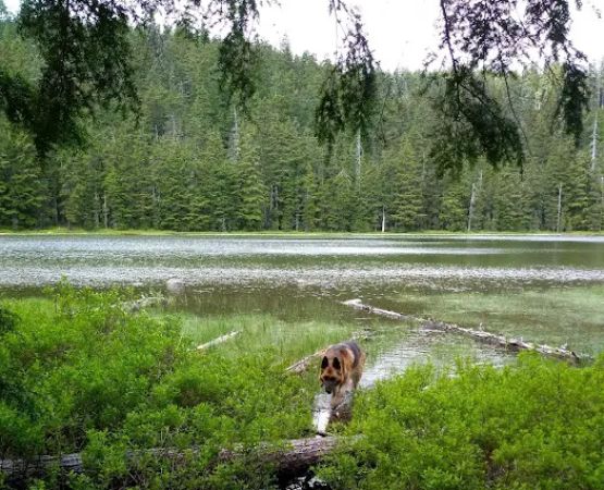 Upper Twin Lake Campground
