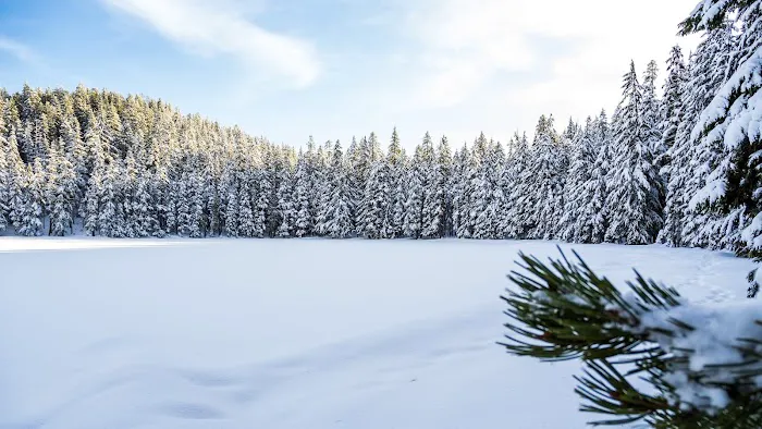 Upper Twin Lake Campground 2
