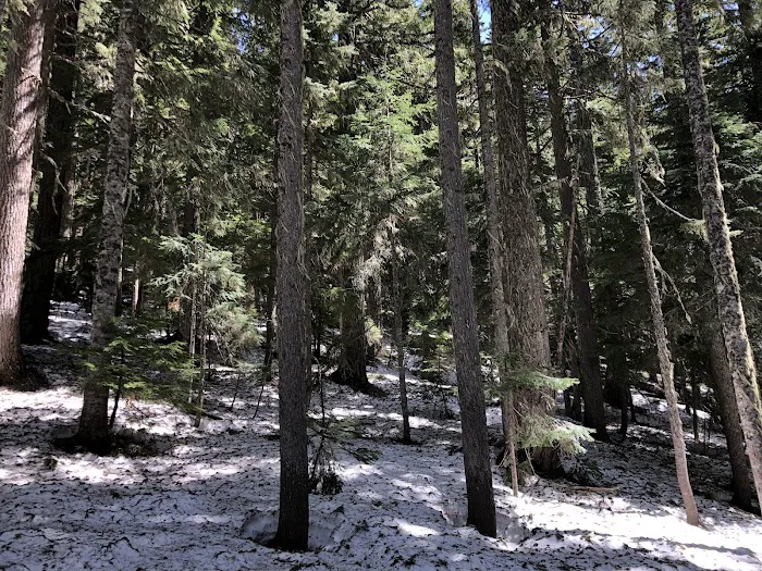 Upper Twin Lake Campground 9