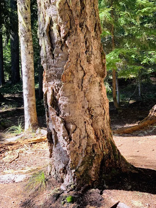 Lower Twin Campground 0