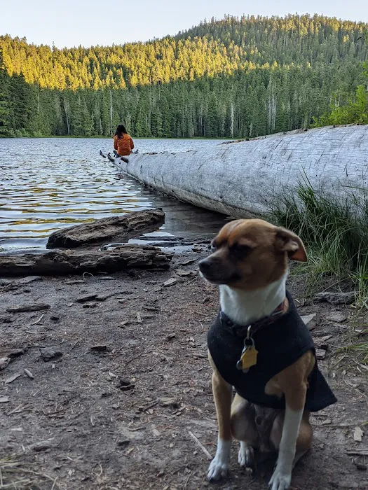 Lower Twin Campground 8