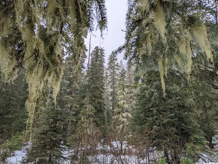 White River East Sno-Park 4