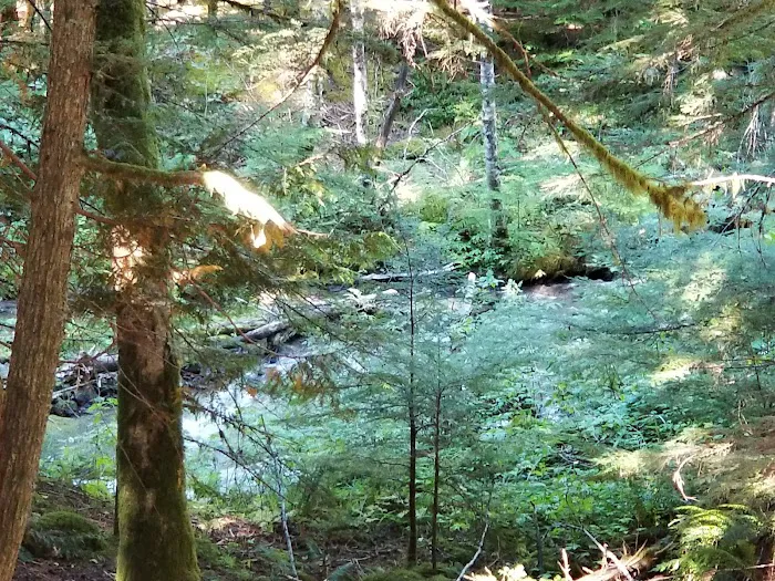 Paradise Trail Christian Camp 7