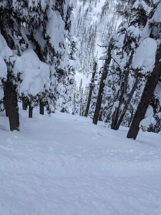 Mt Hood Meadows RV Row 4