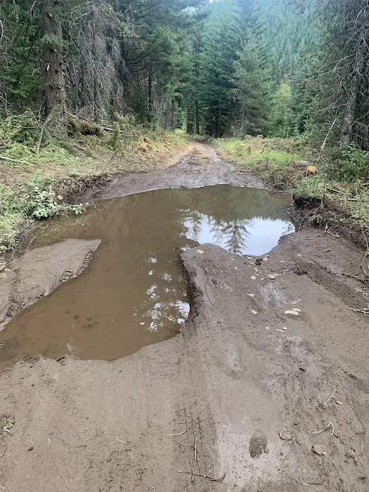Barlow Creek Campground 1