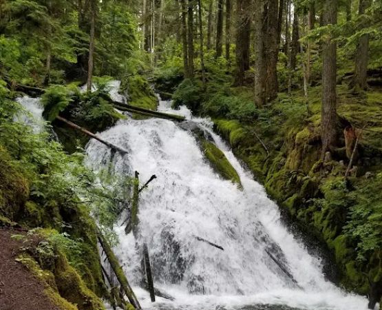 Camp Creek Campground