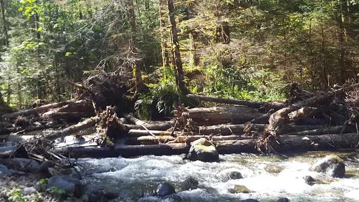 Camp Creek Campground 4