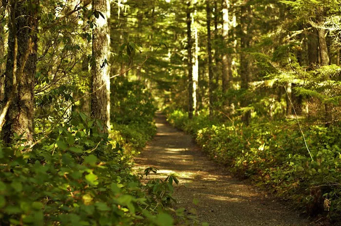 Camp Creek Campground 1