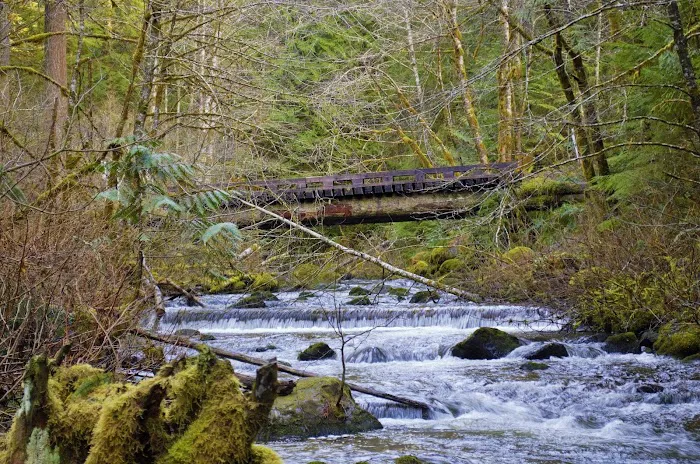 Camp Creek Campground 9