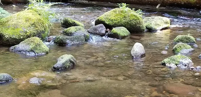Camp Creek Campground 7