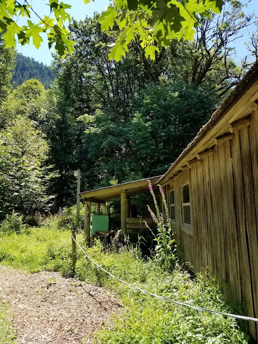 Zigzag Mountain Farm 5