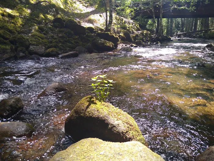 Riley Horse Campground 1